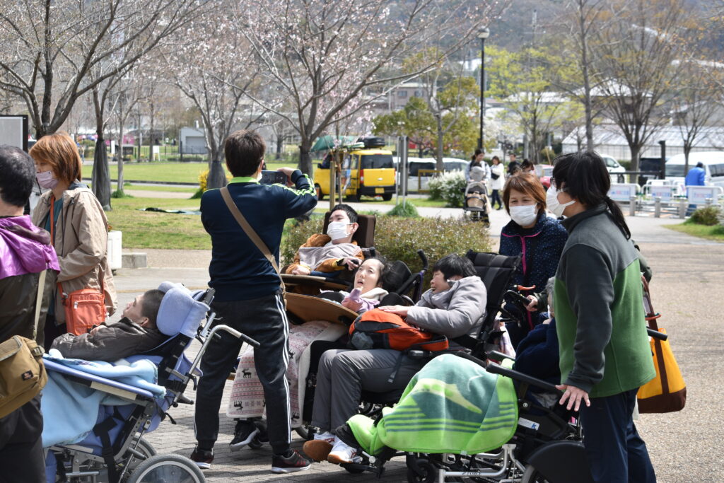 みすぎ お花見へお散歩