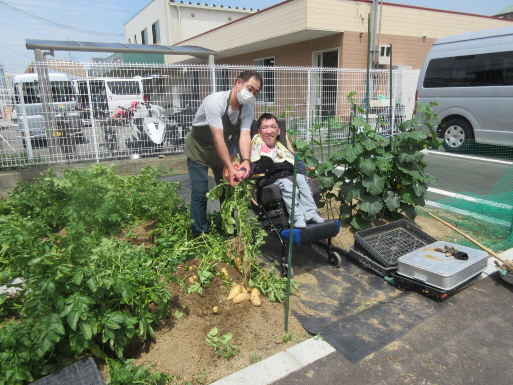 みすぎ ジャガイモの収穫をする利用者様