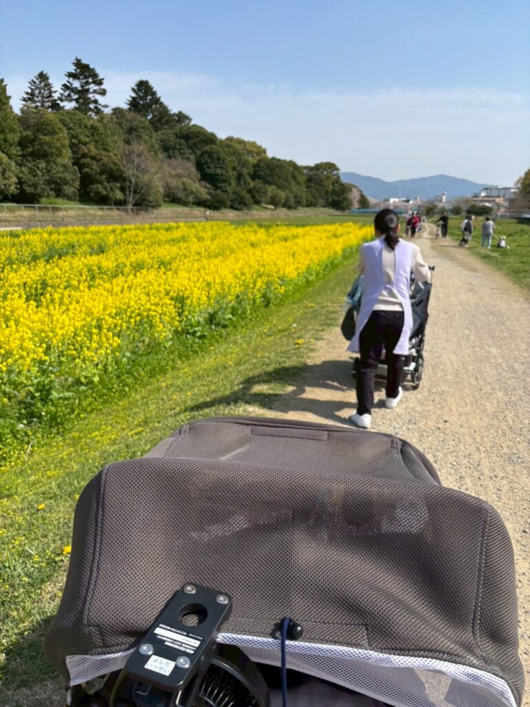 さん　菜の花畑を歩く