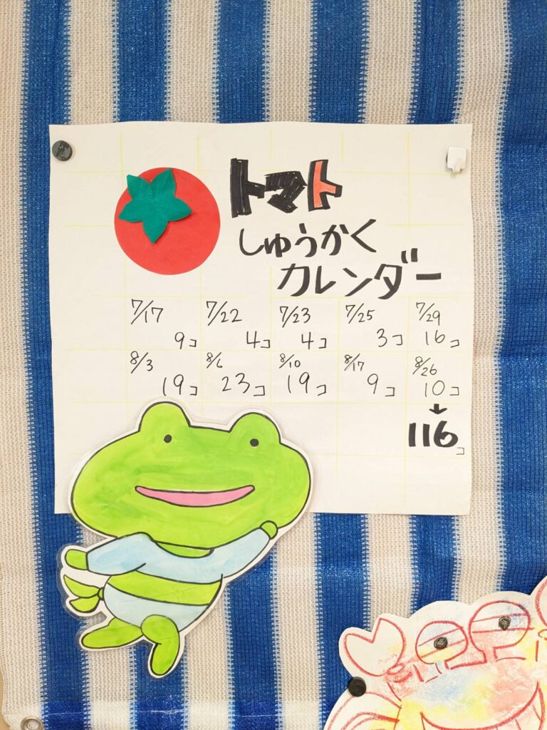 さん　トマトしゅうかくカレンダー